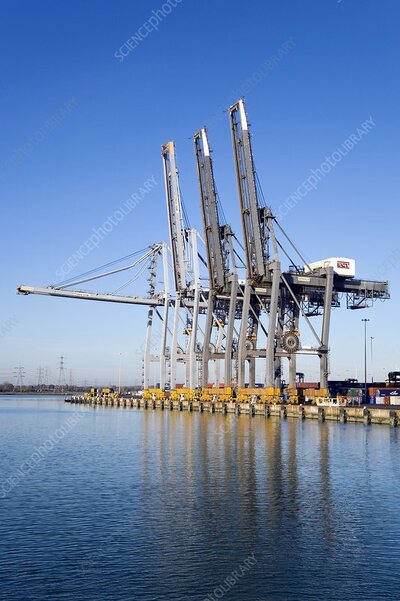 Dockside cranes.jpg
