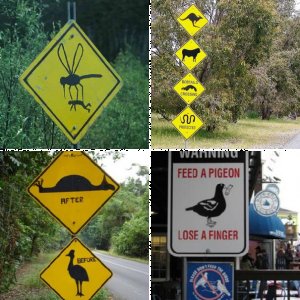 Unusual road signs